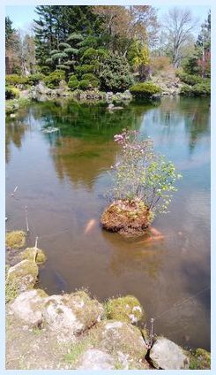 IMG_20180512_114822
