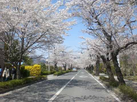 CIMG4323