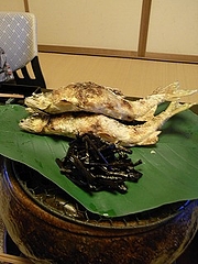 鮎 きゃらぶき 木の芽酢
