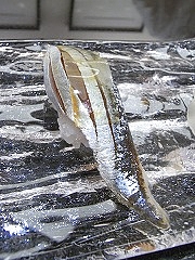 新サンマ