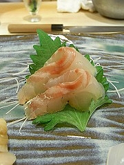 千葉県船橋のスズキ