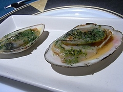 シロガイ
