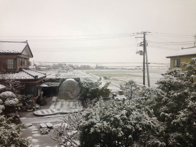 ¿·³ã20131129
