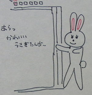 usagi