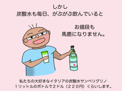 しかし炭酸水も毎日、がぶがぶ飲んでいるとお値段も馬鹿になりません。私たちの大好きなイタリアの炭酸水サンペリグリノ 1リットルのボトルで2ドル(220円)くらいします。