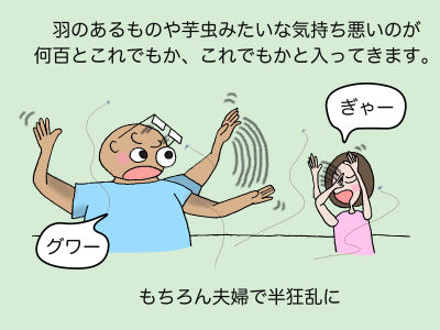 羽のあるものや芋虫みたいな気持ちの悪いのが何百とこれでもか、これでもかと入ってきます。「ぎゃ〜」「グワ〜」もちろん夫婦で半狂乱に