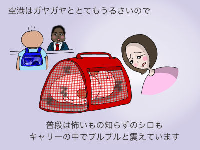 空港はがやがやととてもうるさいので普段は怖いもの知らずのシロもキャリーの中でブルブルと震えています