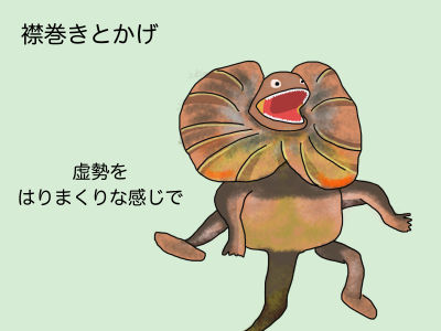襟巻きとかげ 虚勢をはりまくりな感じで