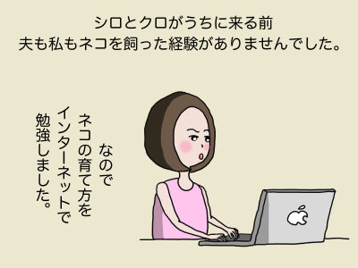 シロとクロがうちに来る前、夫も私もネコを飼った経験がありませんでした。なのでネコの育て方をインターネットで勉強しました。