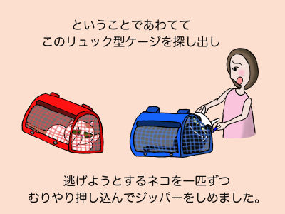 ということであわててこのリュック型キャリーを探し出し逃げようとするネコを一匹ずつむりやり押し込んでジッパーをしめました。