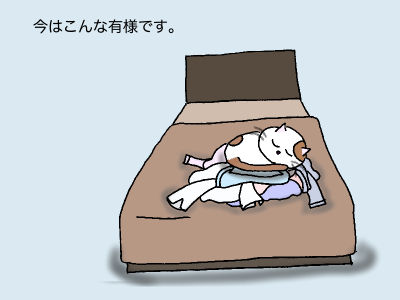 今はこんな有様です。