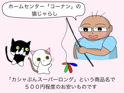 「ホームセンターコーナンの猫じゃらし」カシャぶんスーパーロングという商品名で500円程度のお安いものです