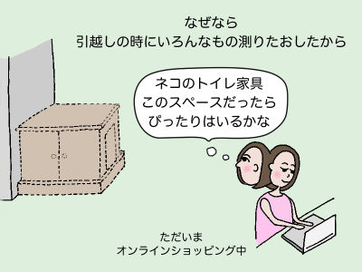 なぜなら引越しのときにいろんなもの測りたおしたから 「ネコのトイレ家具、このスペースだったらぴったりはいるかな」ただいまオンラインショッピング中