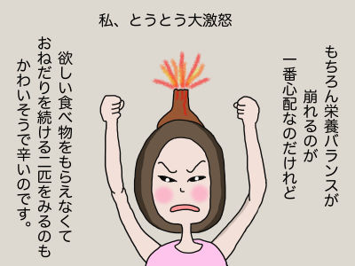 私、とうとう大激怒 もちろん栄養バランスが崩れるのが一番心配なのだけれど、欲しい食べ物をもらえなくておねだりを続ける二匹をみるのもかわいそうで辛いです。