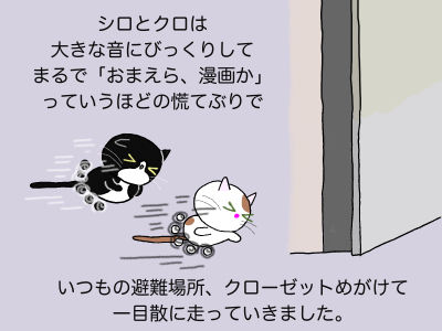 シロとクロは大きな音にびっくりしてまるで「おまえら、漫画か」っていうほどの慌てぶりで、いつもの避難場所、クローゼットめがけて一目散に走っていきました。