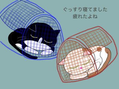 ぐっすり寝てました 疲れたよね