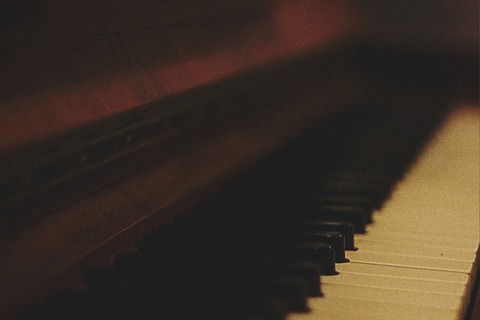 viktor-mogilat-14611-unsplash