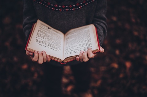 annie-spratt-454816-unsplash