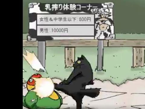 41
