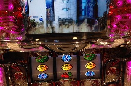 IMG_1391