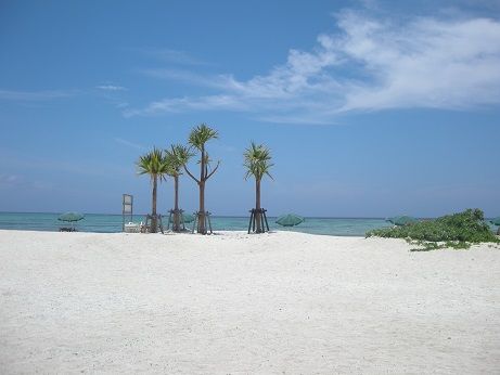 DSCN1405