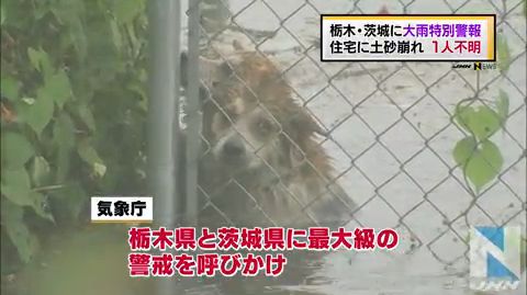 今日保存した最高の画像を転載するスレ 420 [転載禁止]©bbspink.com	YouTube動画>7本 ->画像>1181枚 