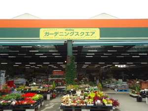 DSC06540