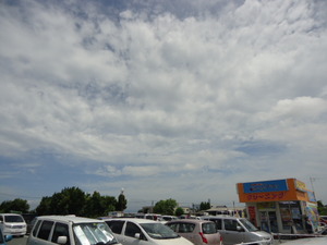 DSC06565