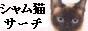 SEO�˸����ޤ���ĥ����ǭ������
