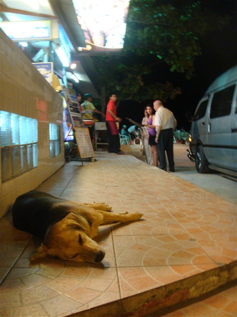 DSC01644