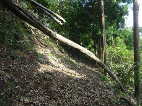 DSC04744