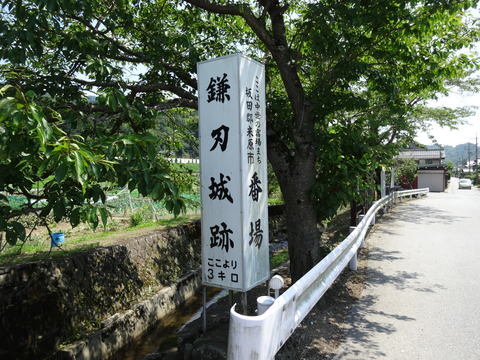 DSC00360