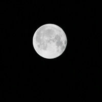 IMG_8628