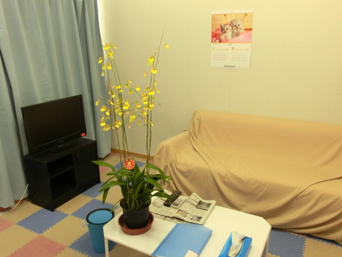 CIMG0921