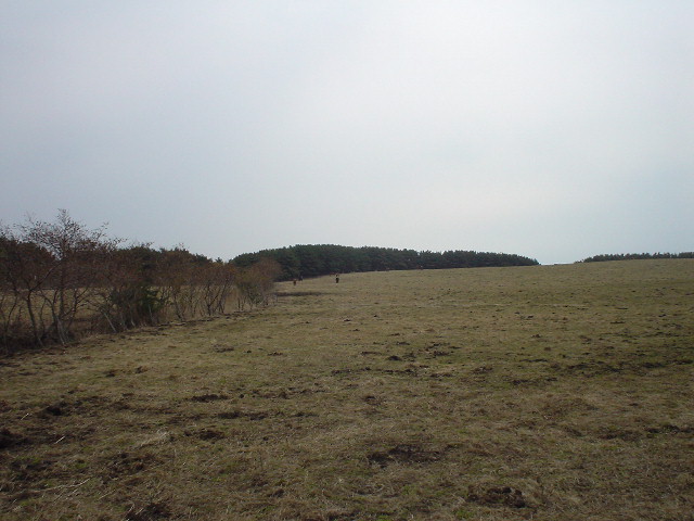 0a741958.jpg