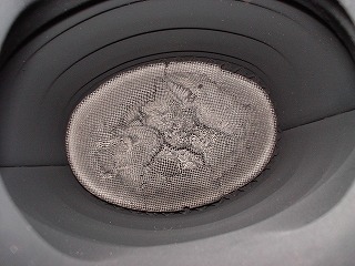 78b101e5.jpg