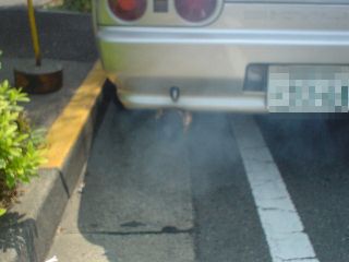 e81ec1b0.jpg