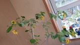 20190318_161651