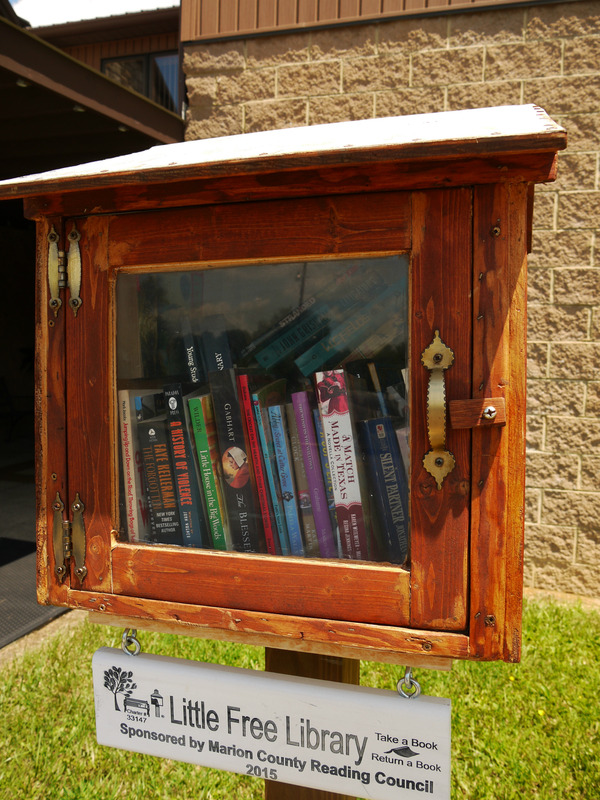 20160717_Little Free Library_Fairmot, WV (6)