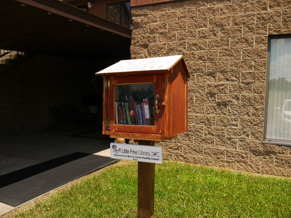 20160717_Little Free Library_Fairmot, WV (5)