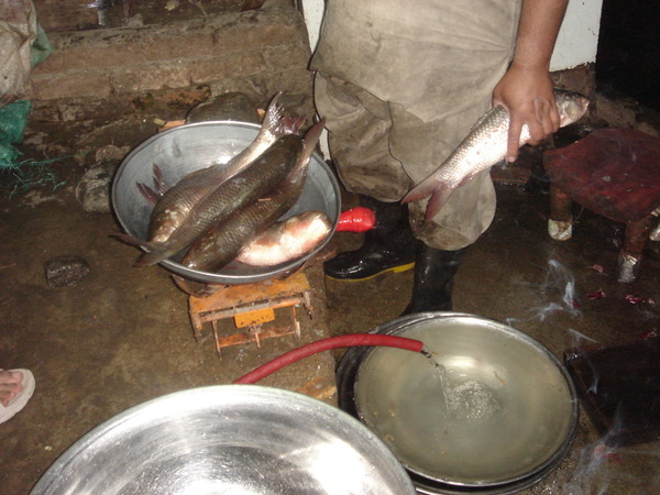 Dinner Flied fish shop on riverside 8 March 06 (2)