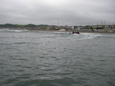IMGP1281