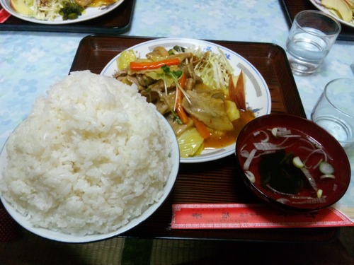 SH3J0042