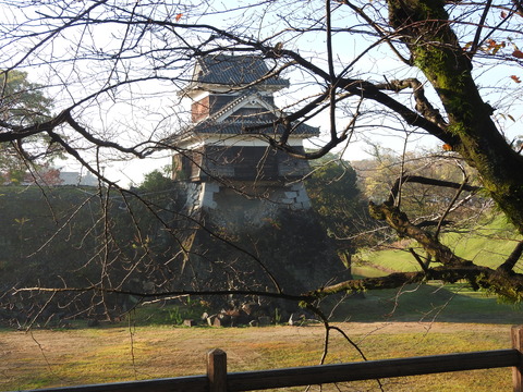 DSCN3816