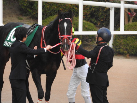 DSCN7800