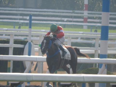 DSCN7601