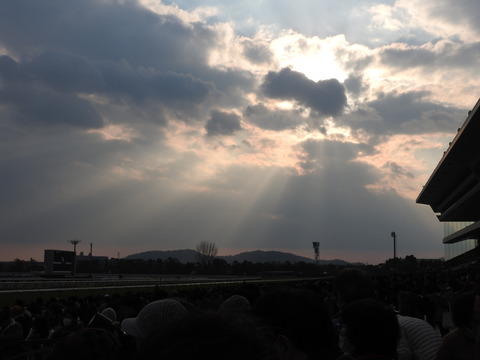 DSCN7769