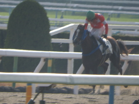 DSCN7605