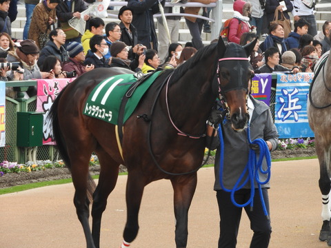 DSCN7660