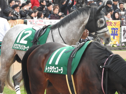 DSCN7677
